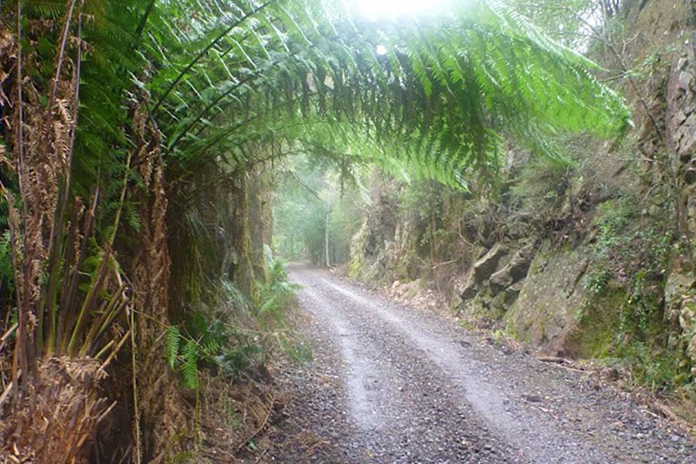 North East Rail Trail