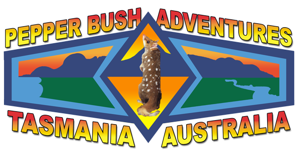 Pepper Bush Adventures